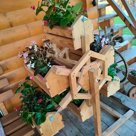 Apartment трембіта *