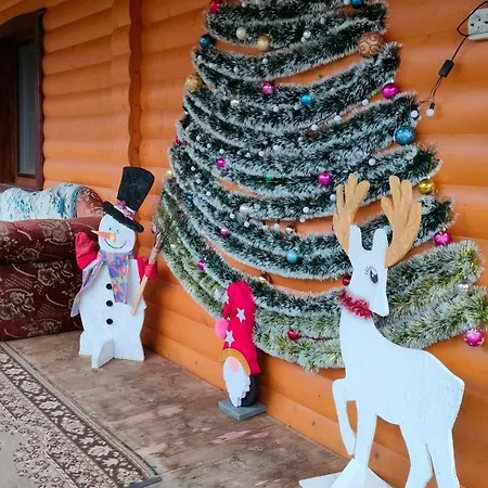 Apartment трембіта *